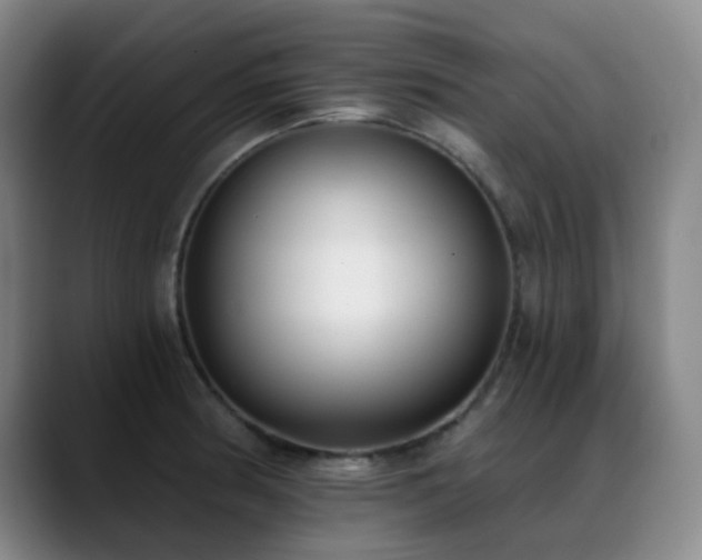 X0000089341186200706151038