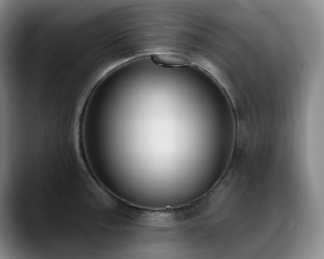 X0000089341187200706151038