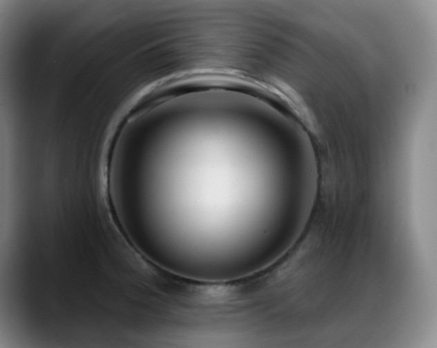 X0000089341188200706151038