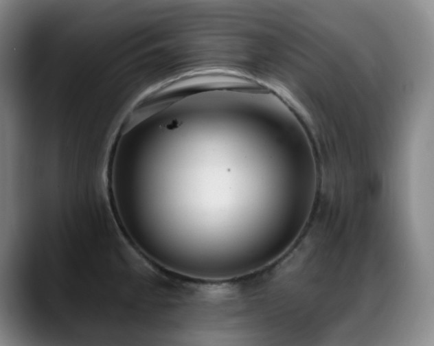 X0000089341189200706151038