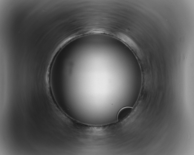 X0000089341190200706151038