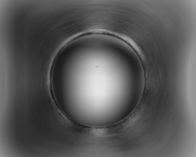 X0000089341191200706151038