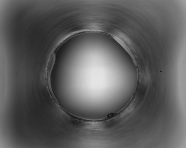 X0000089341192200706151038