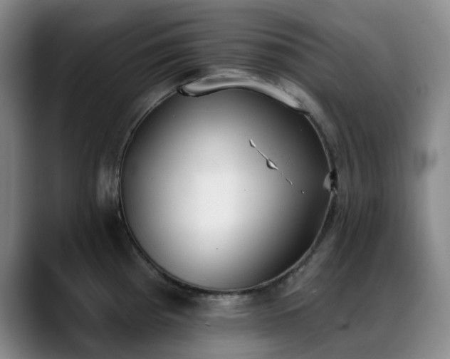 X0000089341193200706151038
