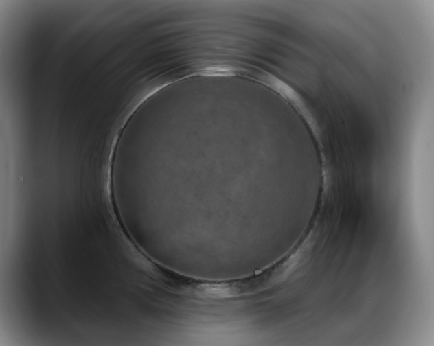 X0000089341194200706151038