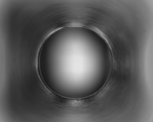 X0000089341195200706151038