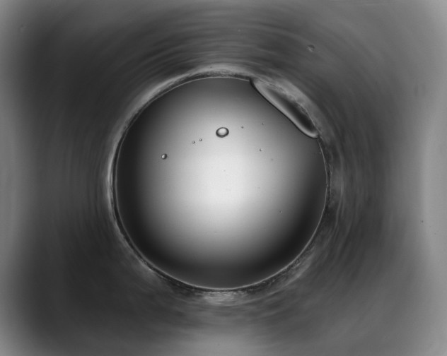 X0000089341199200706151037