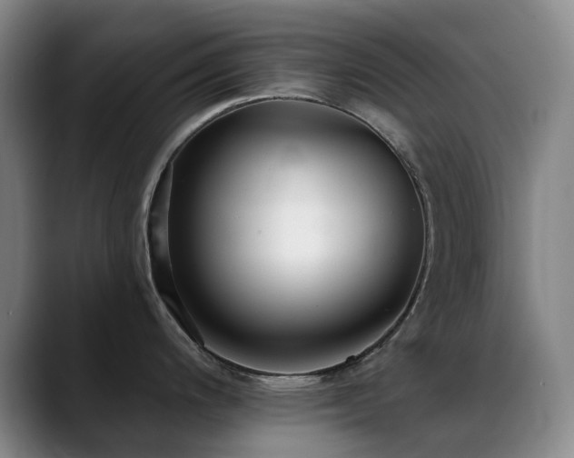 X0000089341200200706151037