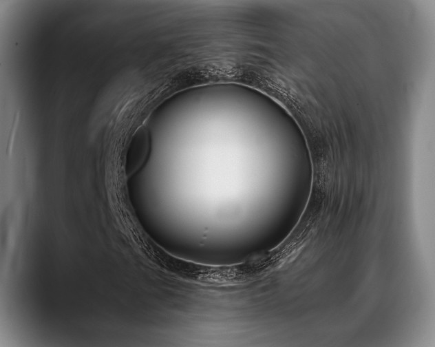 X0000089341201200706151037