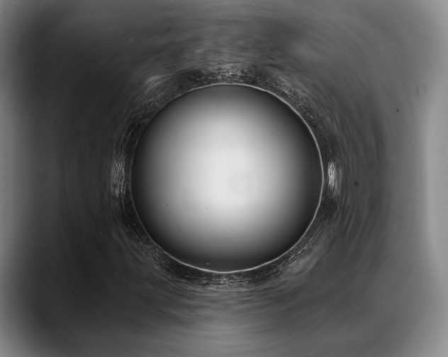 X0000089341203200706151037