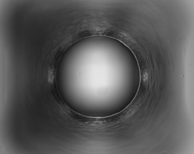 X0000089341204200706151037