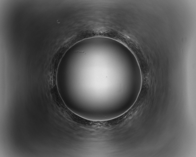 X0000089341205200706151037