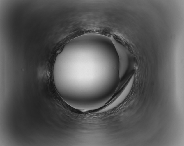 X0000089341206200706151037