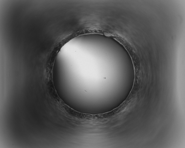 X0000089341207200706151037