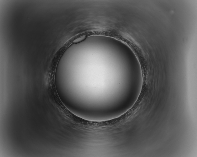 X0000089341208200706151037