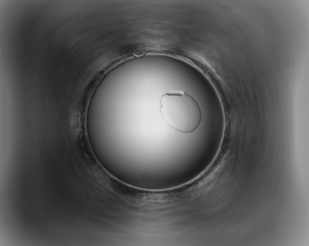 X0000089341211200706151037