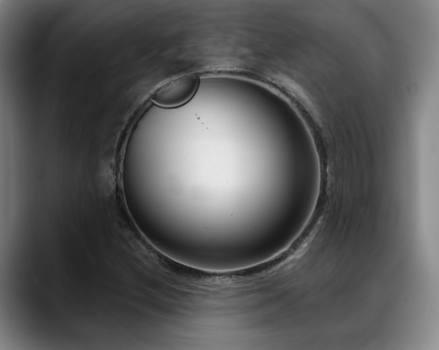 X0000089341212200706151037
