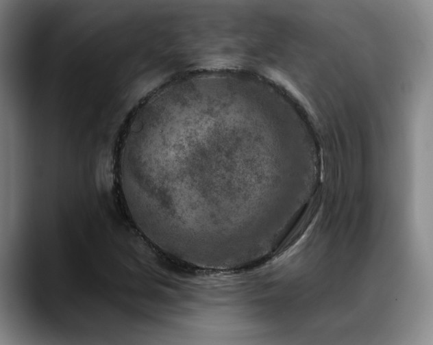X0000089341213200706151037