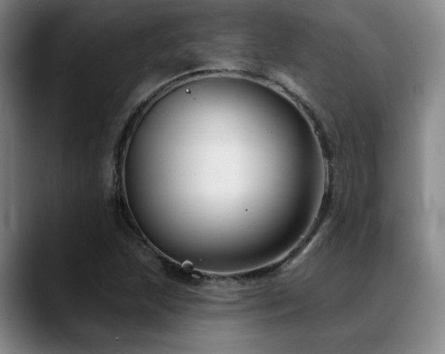 X0000089341215200706151037
