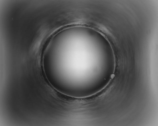 X0000089341216200706151037