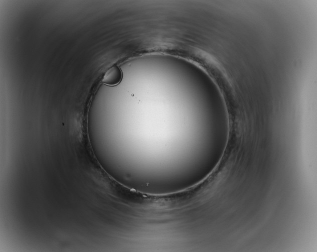 X0000089341217200706151037