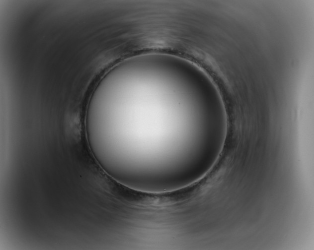 X0000089341218200706151037