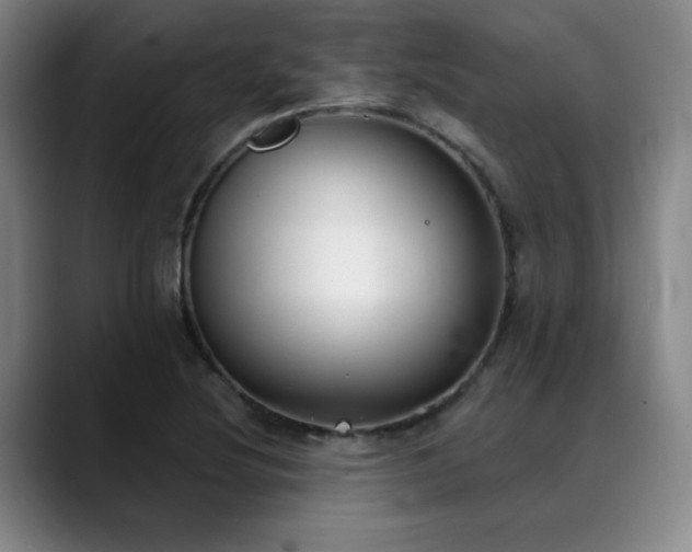 X0000089341220200706151037