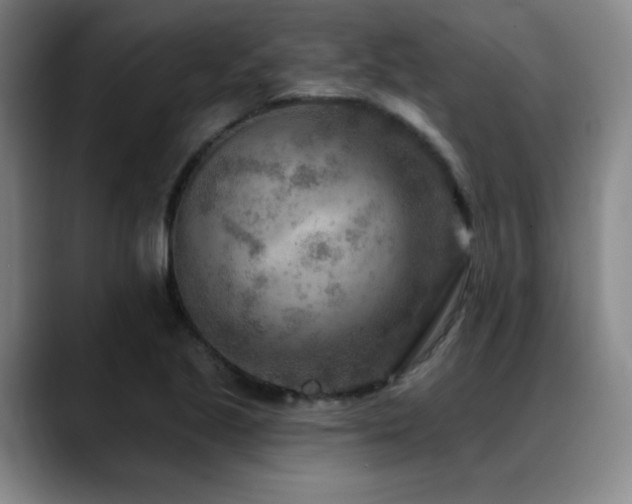 X0000089341221200706151037