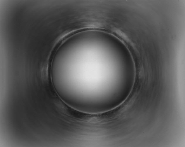 X0000089341222200706151037