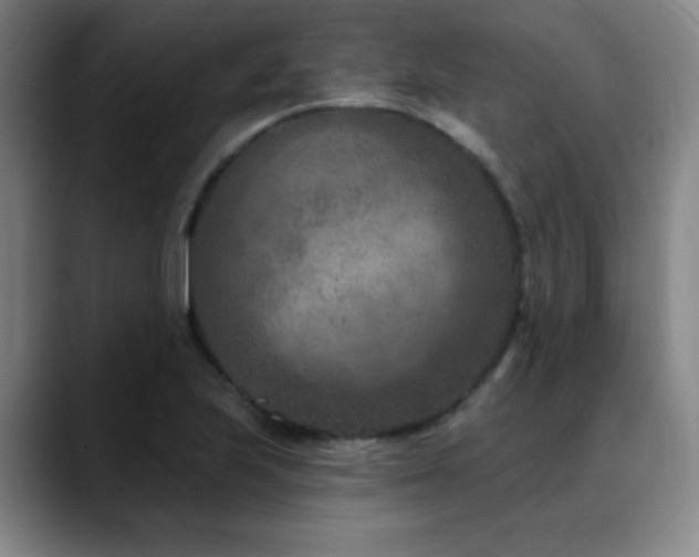 X0000089341223200706151037