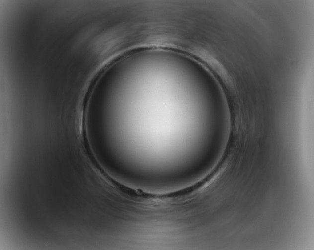 X0000089341224200706151037