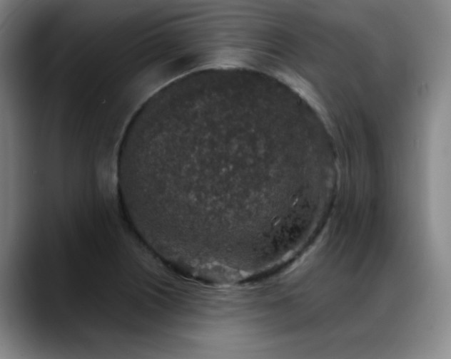 X0000089341226200706151037