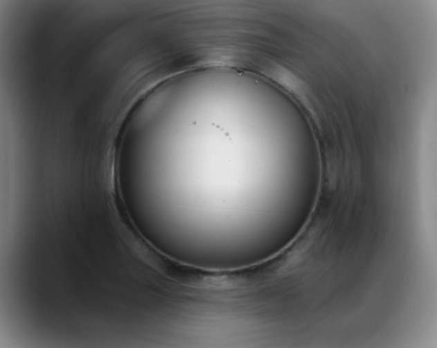 X0000089341227200706151037