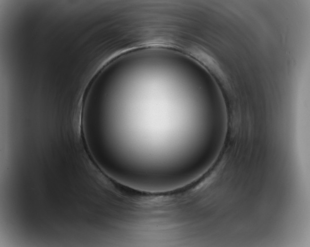 X0000089341228200706151037