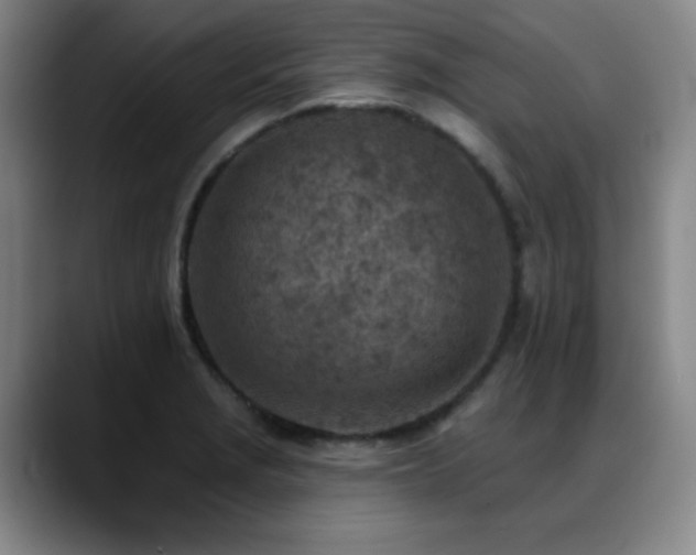 X0000089341229200706151037