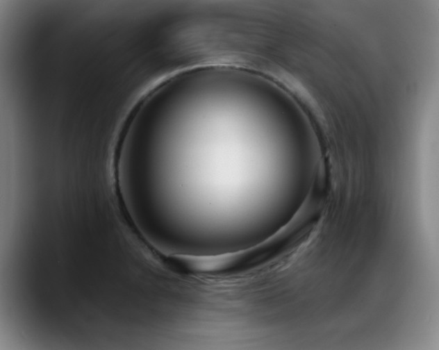 X0000089341230200706151037