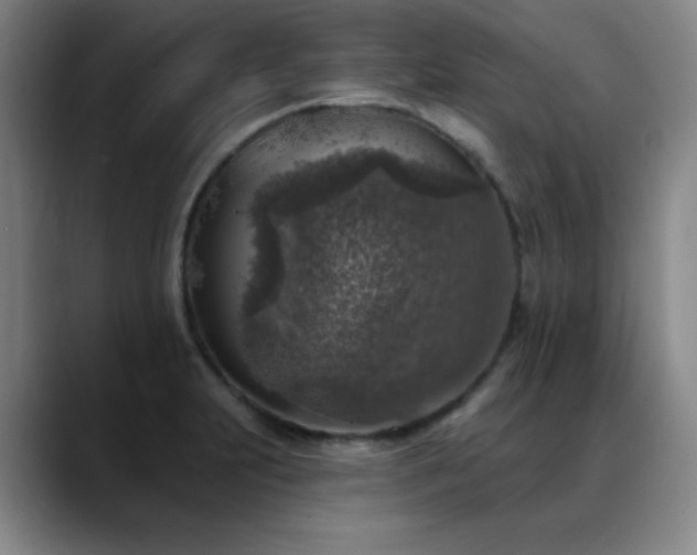 X0000089341231200706151037