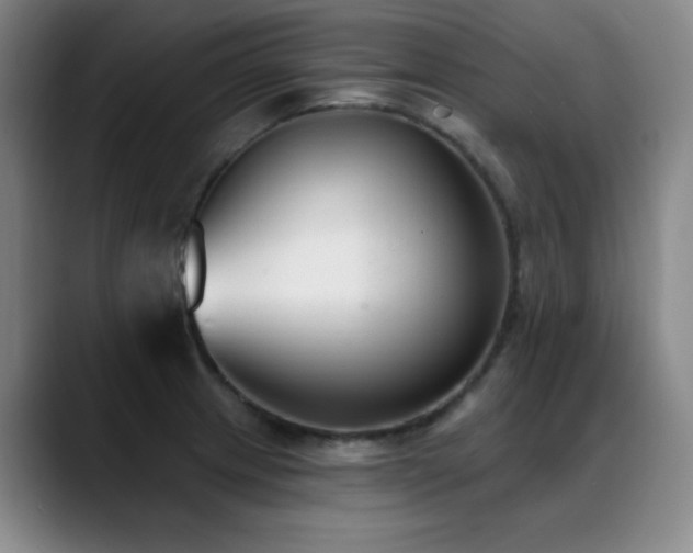 X0000089341233200706151037