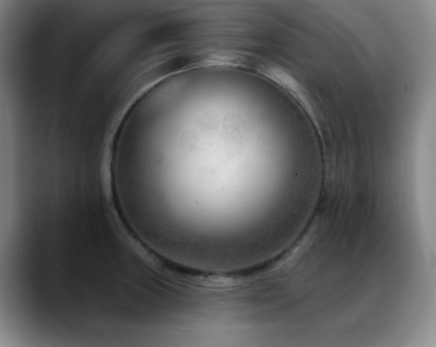 X0000089341235200706151037