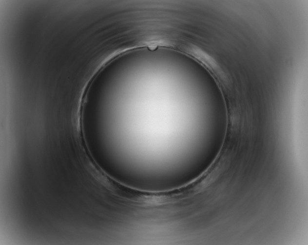 X0000089341236200706151037