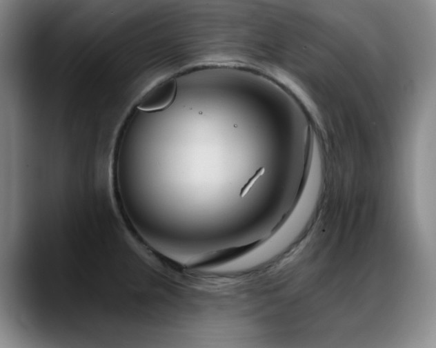 X0000089341237200706151037
