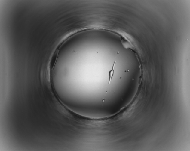 X0000089341238200706151037