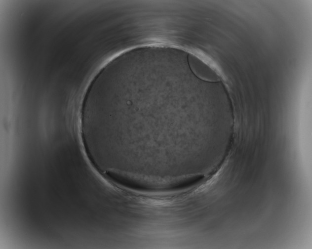 X0000089341239200706151037