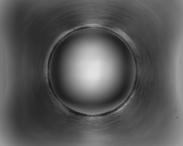 X0000089341240200706151037