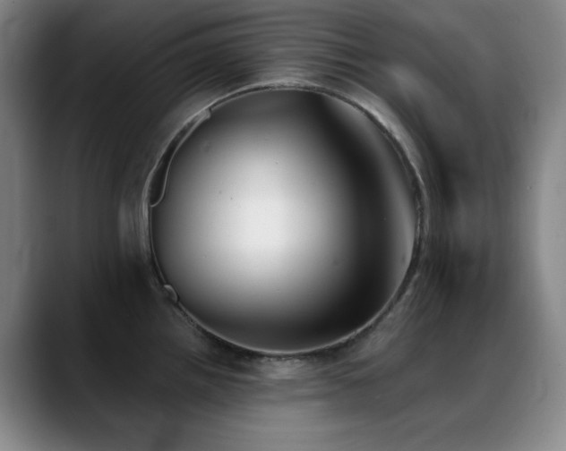 X0000089341242200706151037