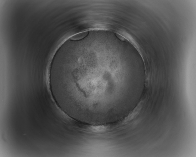 X0000089341243200706151037