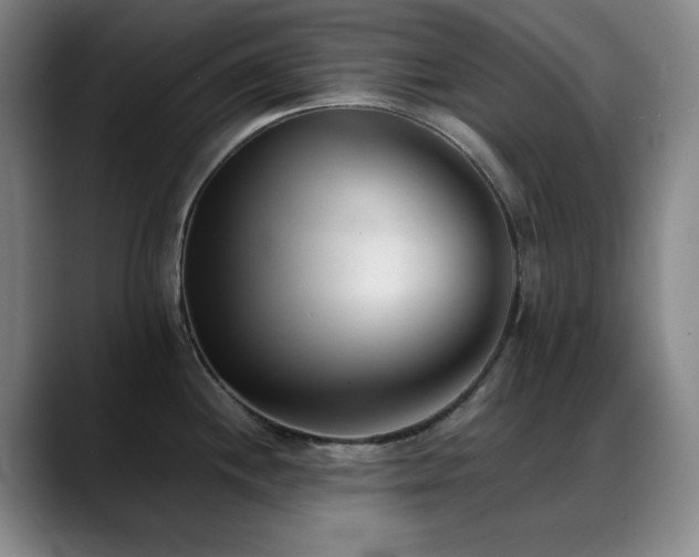 X0000089341244200706151037