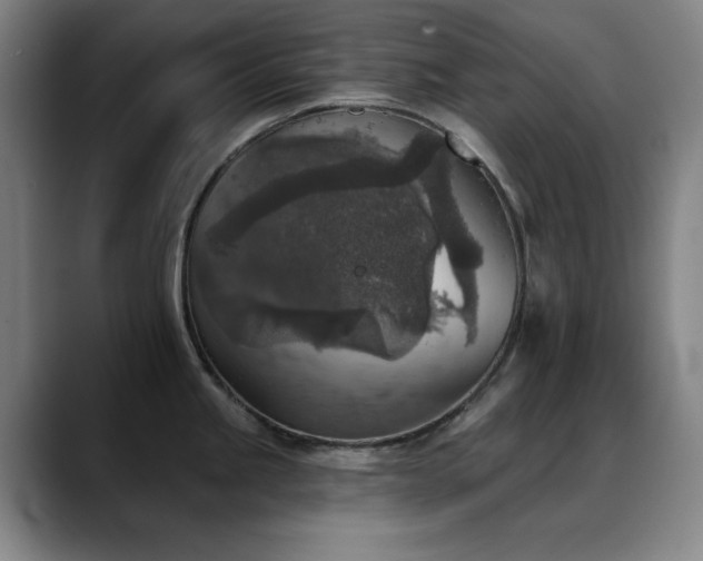 X0000089341245200706151037