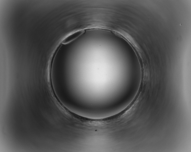 X0000089341246200706151037