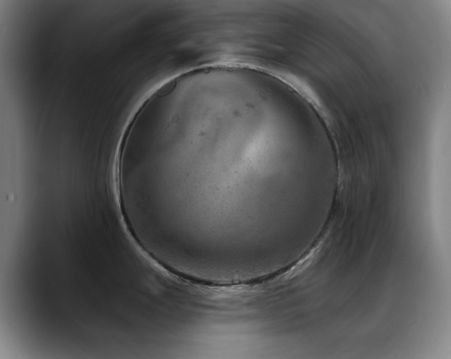 X0000089341247200706151037